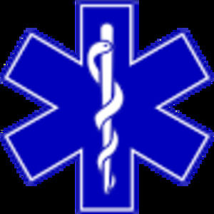 Meet your Posher, Bella